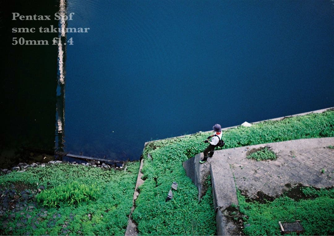 試写作例多数★pentax spf★リザード本革ブラウン★美品＊完動品＊初期保証