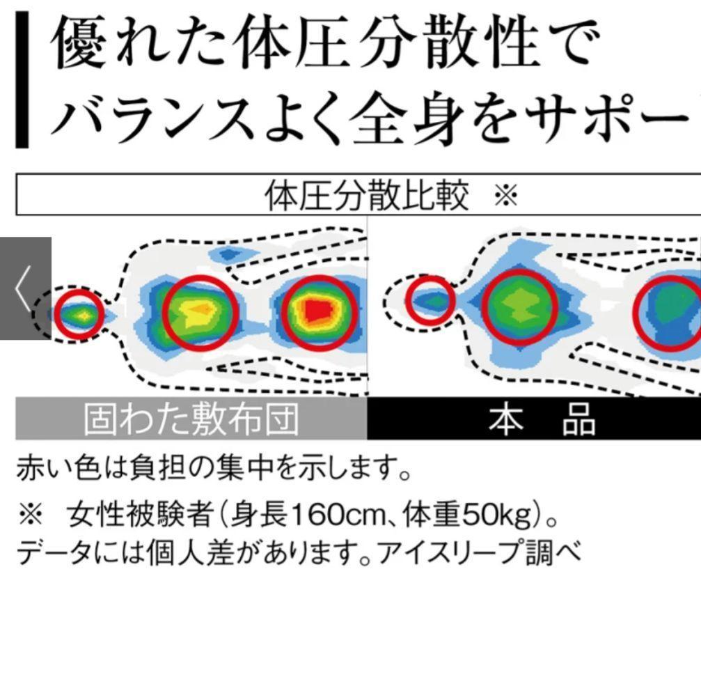 ✅美品・おまけ付✅【ブレスエアー®】敷布団 NEO+ /ネオプラス ダブルサイズ