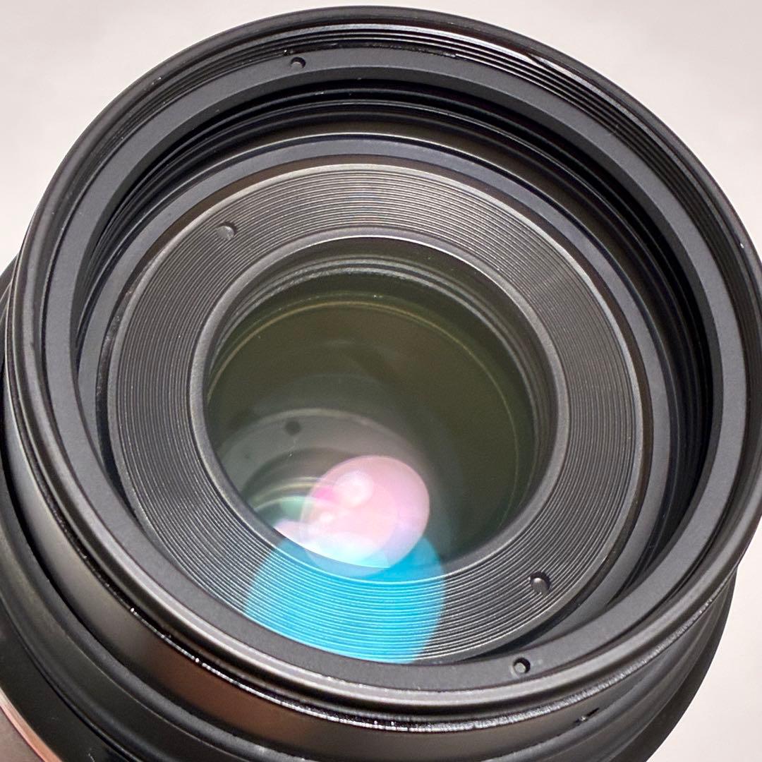 ⭐️美品⭐️キャノン Canon EF 100-300mm F5.6 L 望遠レンズ