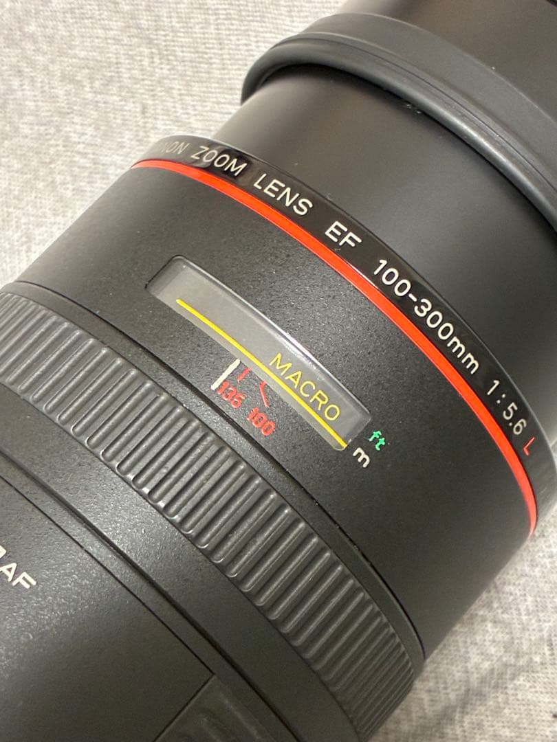 ⭐️美品⭐️キャノン Canon EF 100-300mm F5.6 L 望遠レンズ