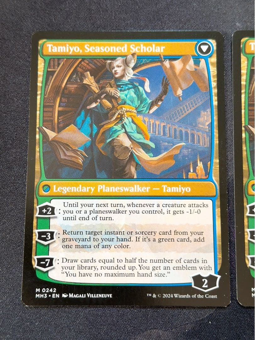 知りたがりの学徒、タミヨウ　英語　2枚セット