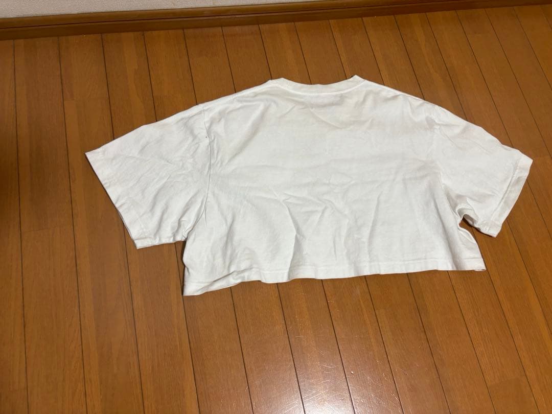 fr2梅　fr2月桃　fr2 カーゴパンツ　クロップドtシャツ tシャツ