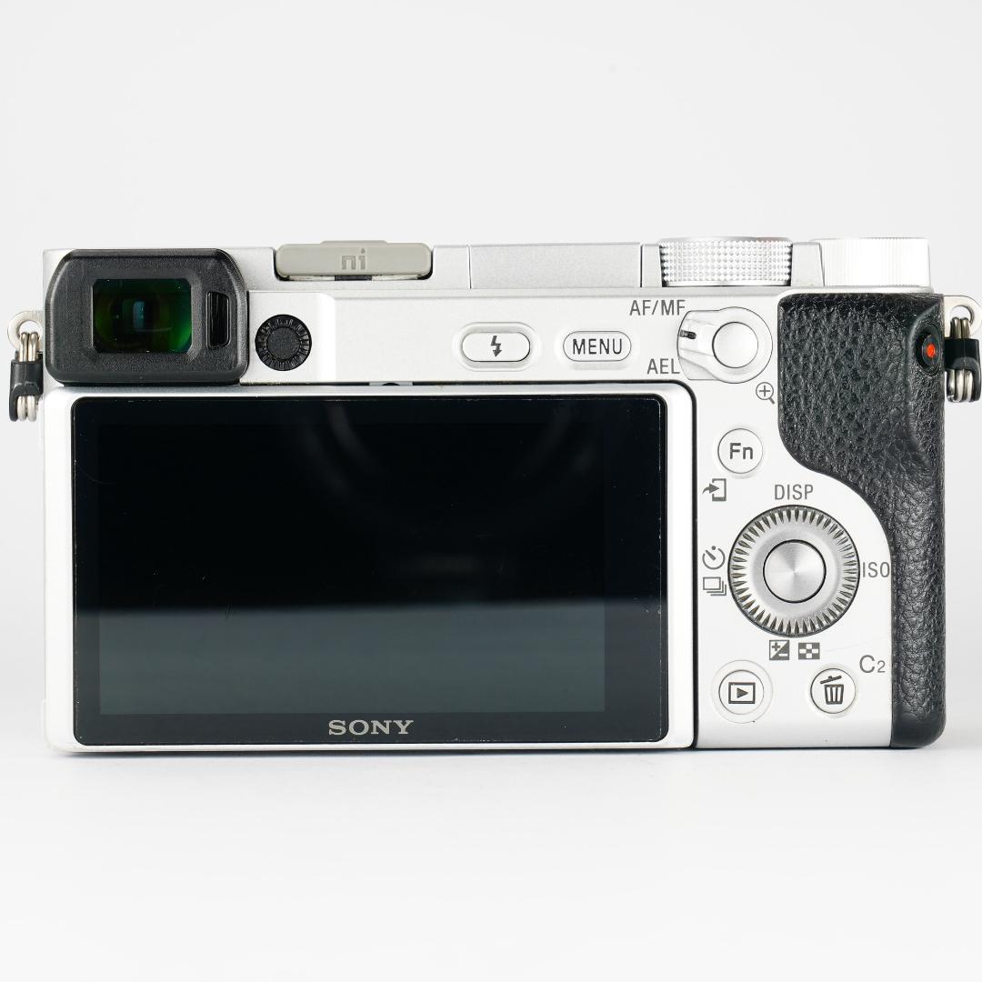 2度と戻らない瞬間を美しく、最高カメラ SONY α6400 ミラーレス 861