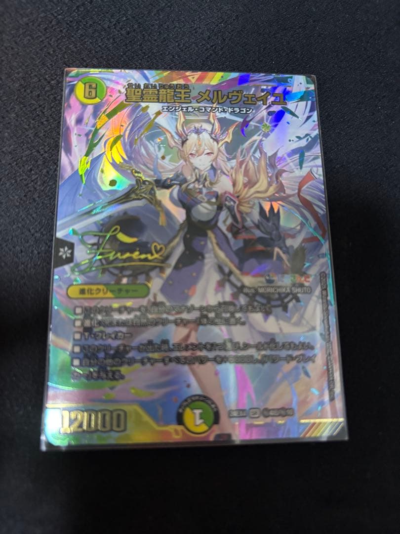 聖霊龍王メルヴェイユ サイン　シークレット