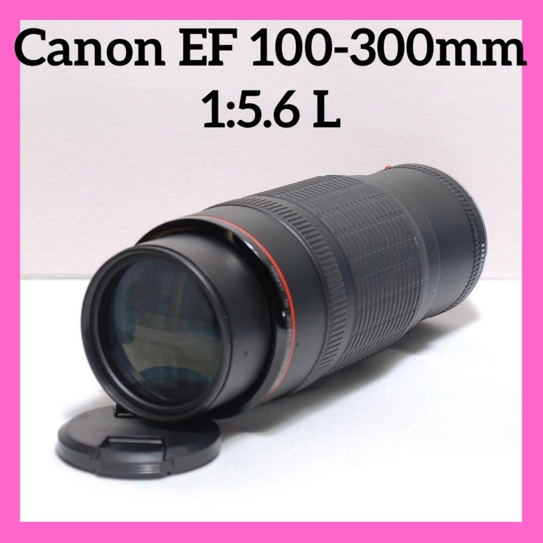 Lレンズ✨Canon EF 100-300mm 1:5.6 L✨超望遠レンズ✨