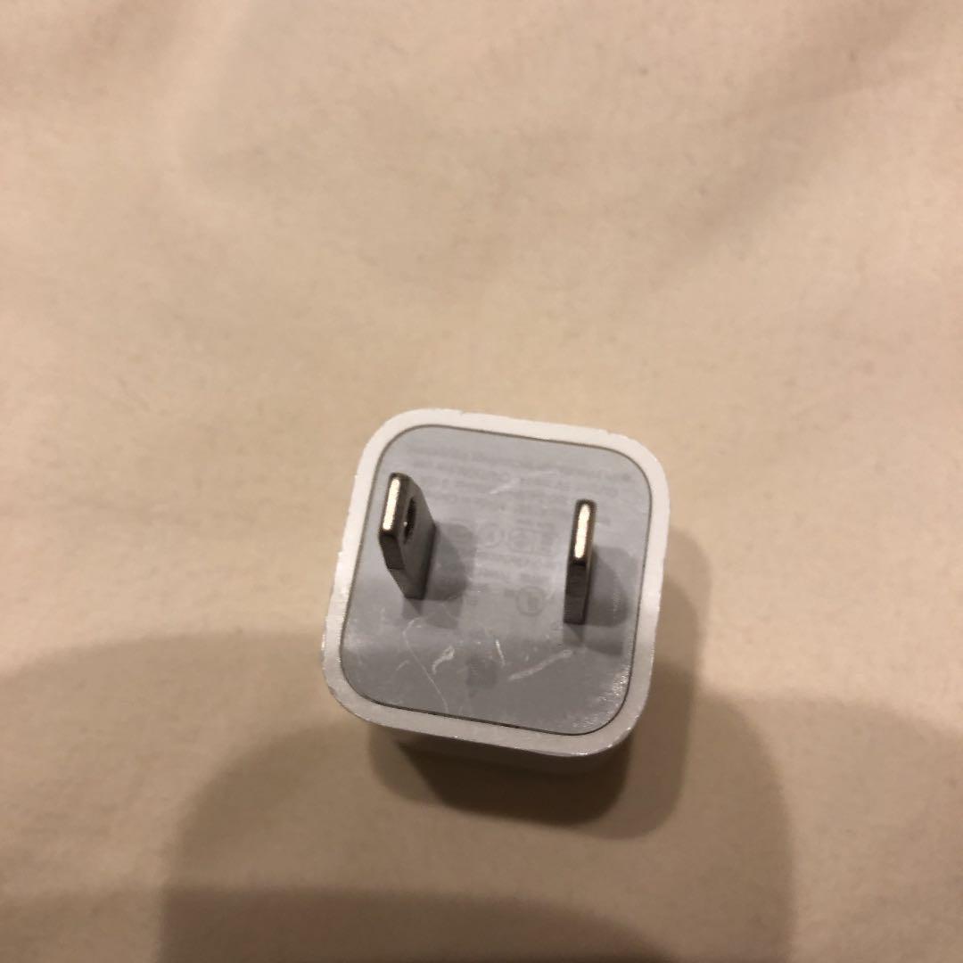 れおんの根っこ