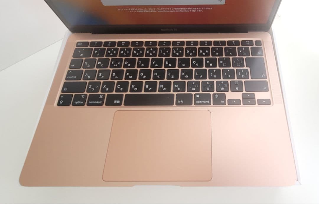 MacBook本体 Apple MacBookAir 16GB 1TB