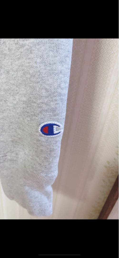 トップス champion for ALEXIA STAM Sweatshirt