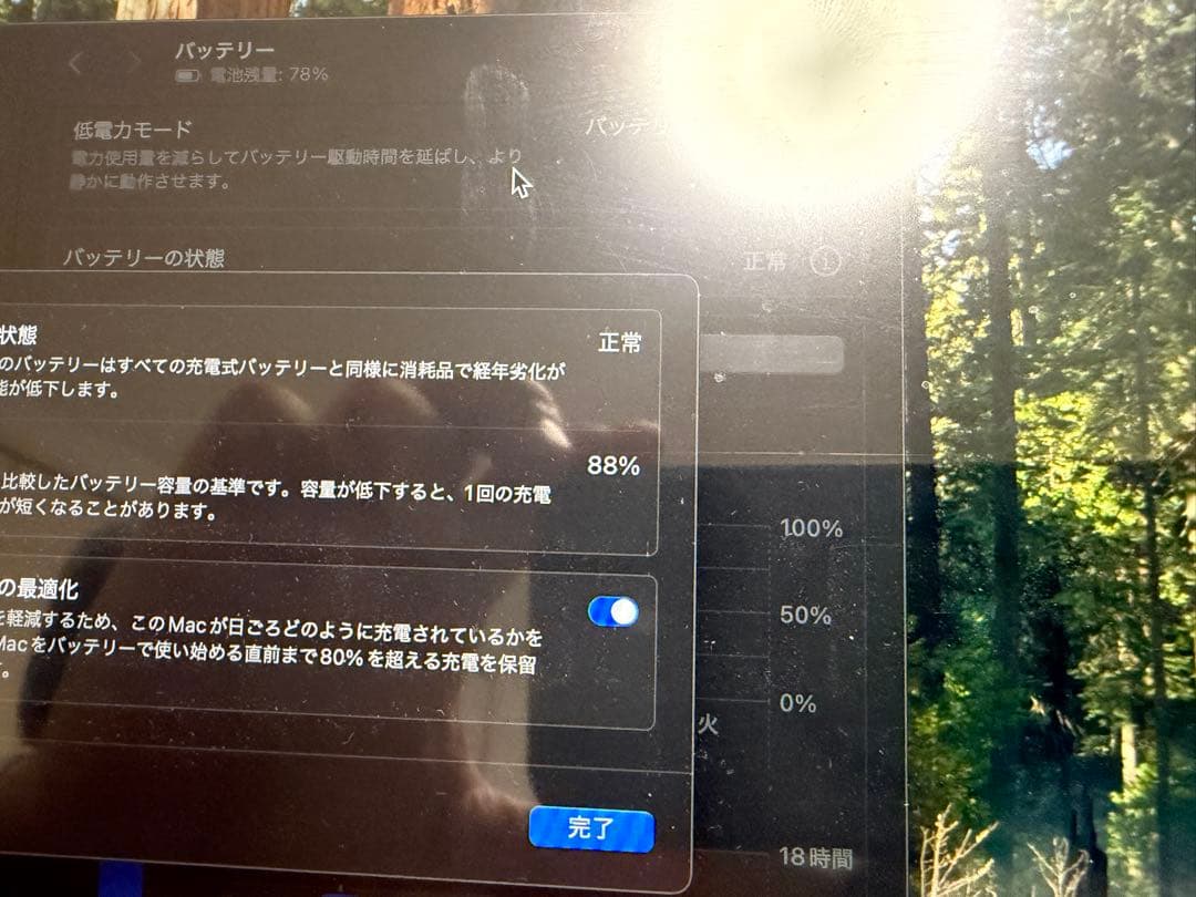 MacBook本体 MacBook Pro M1 16g 256g 2020