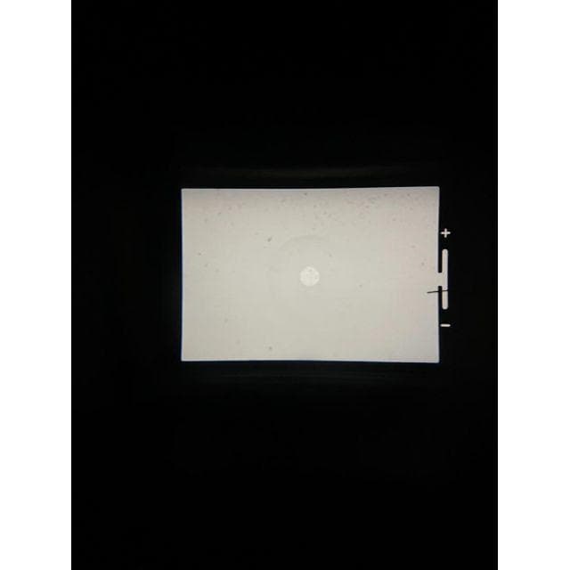 PENTAX SP フィルム一眼 Takumar 55mm F1.8 S083