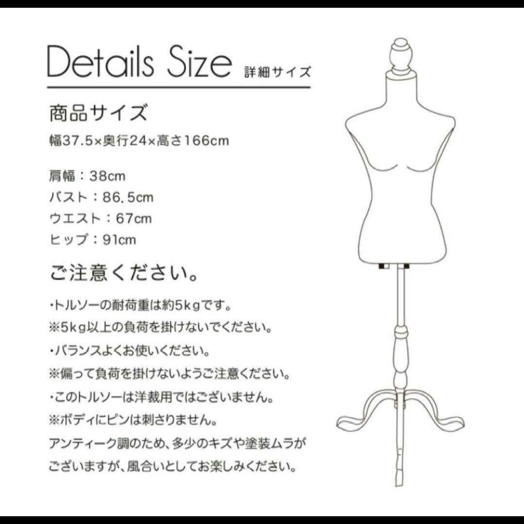 イノセントワールド　ワンピース