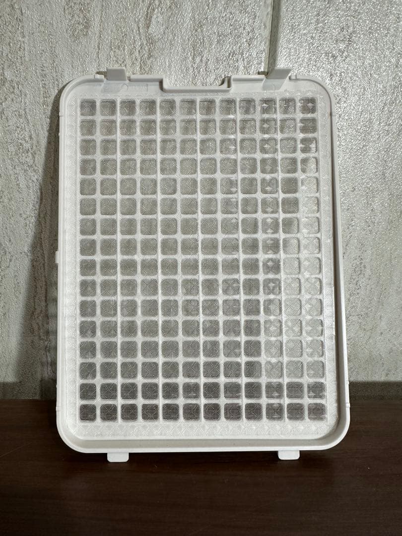 即日発送 美品 SHARP シャープ 加湿器 HV-R55 22年製