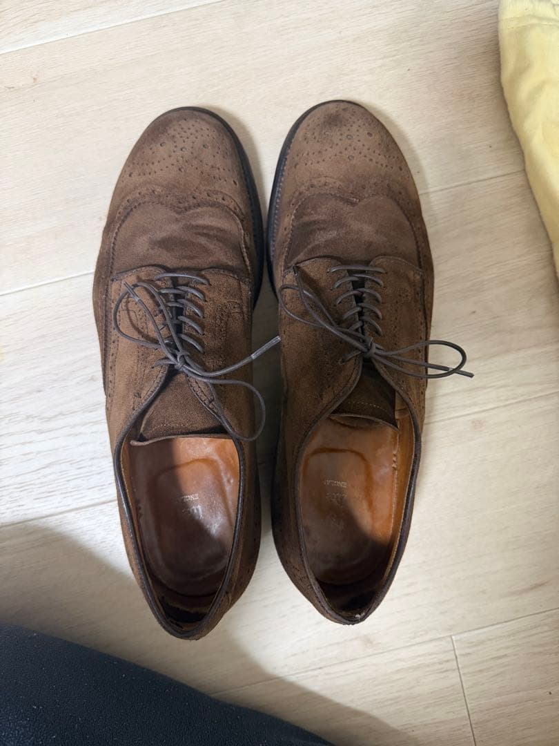 Alden ブラウン スエード ウィングチップ