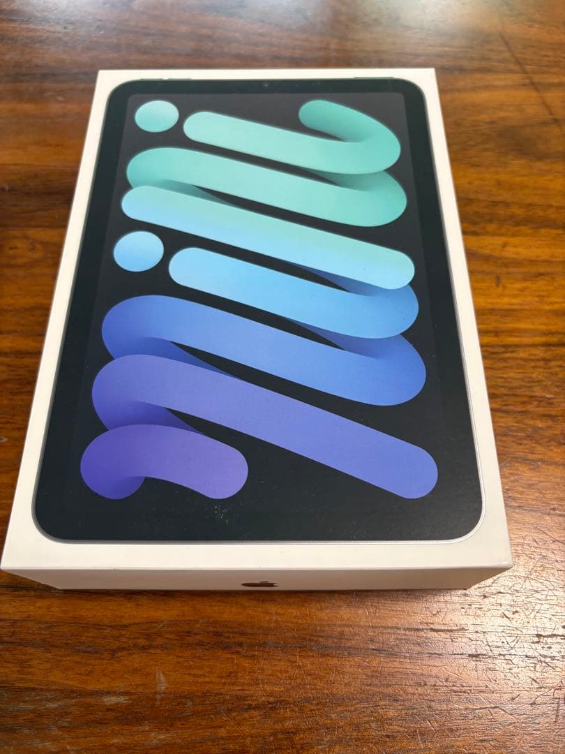 【美品】iPad mini (第7世代) Cellular グレー 128GB