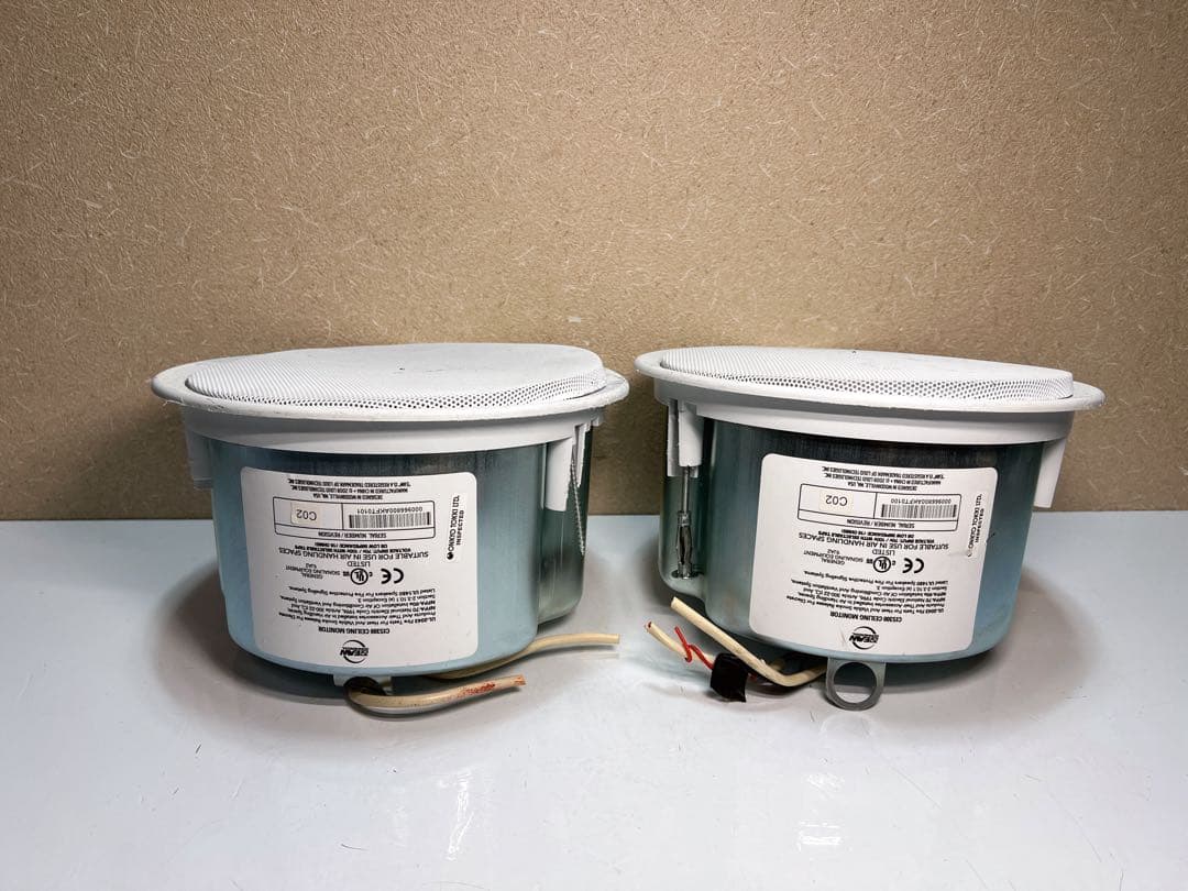 REAW コマーシャル CIS300 天井モニター