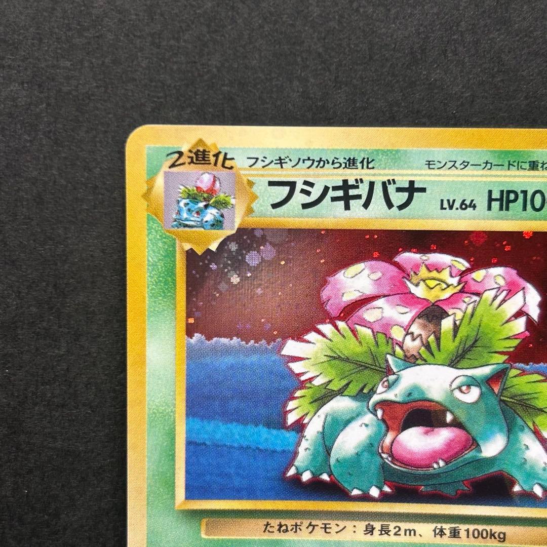 【全面ホロ】フシギバナ 旧裏 ポケモンカードGB プロモ 表面状態良好