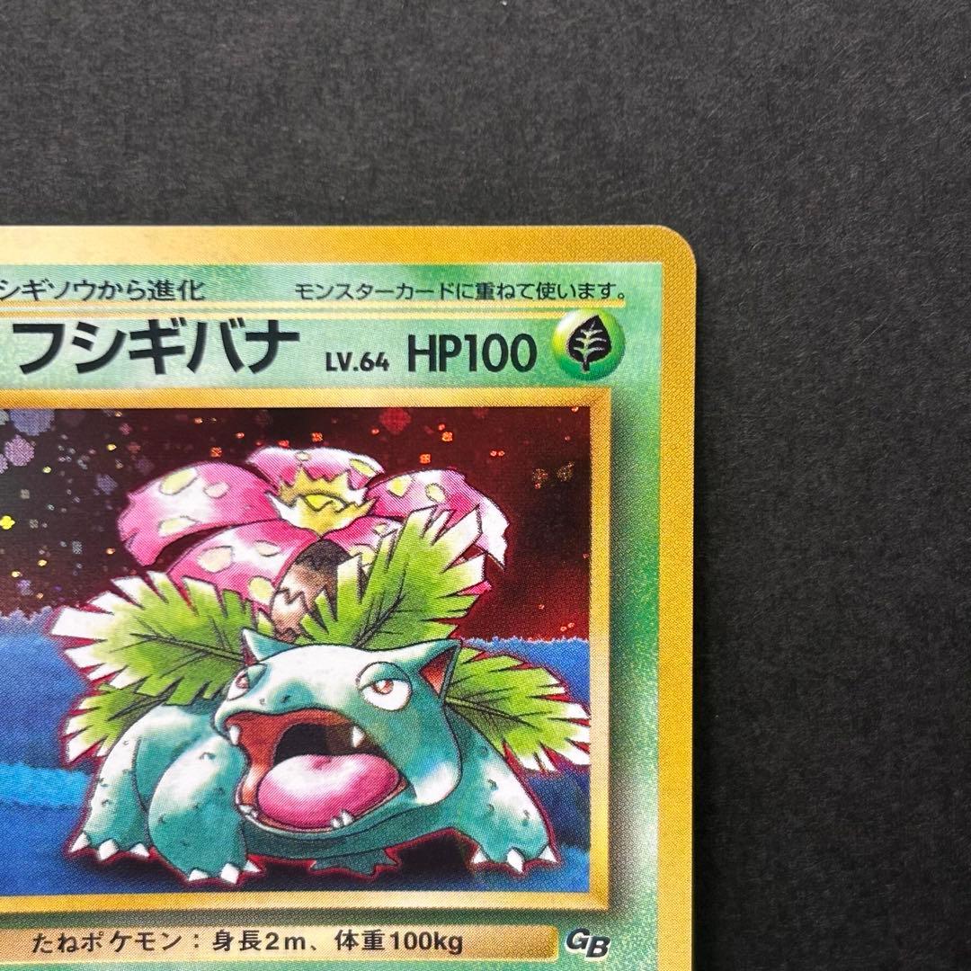 【全面ホロ】フシギバナ 旧裏 ポケモンカードGB プロモ 表面状態良好