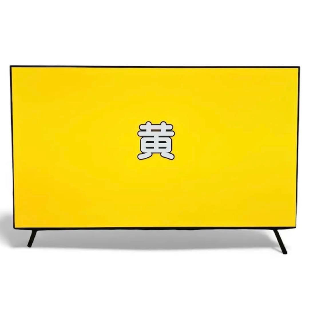 LG テレビ　55型 4K 有機EL OLED55A2PJA AIexa搭載