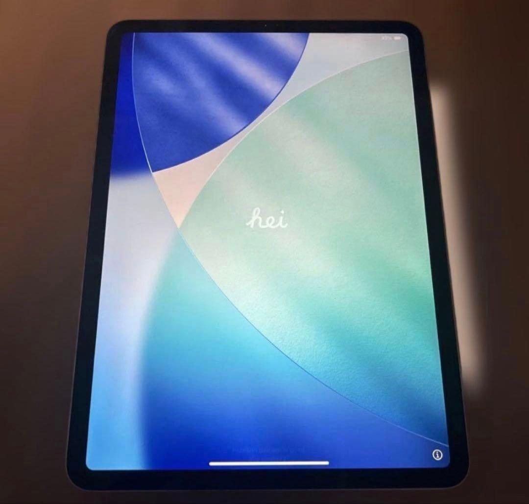 エータ 専用iPad Pro 11インチ（第二世代）128GB