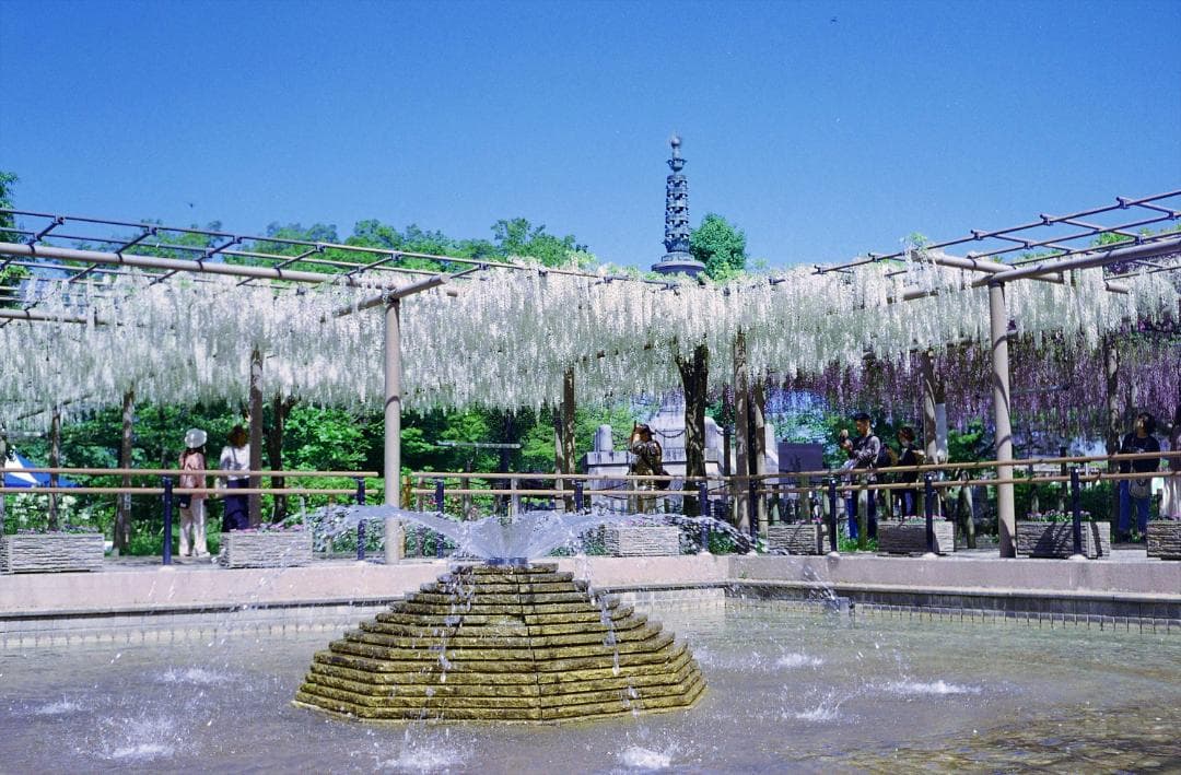 Olympus Trip 35 コンパクトカメラ