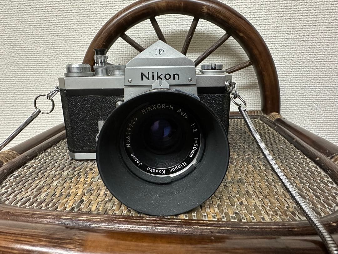 Nikon ニコン F HS-6