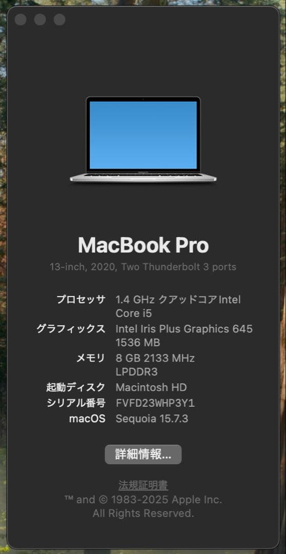 MacBook Pro 13.3インチ 2020 A2289