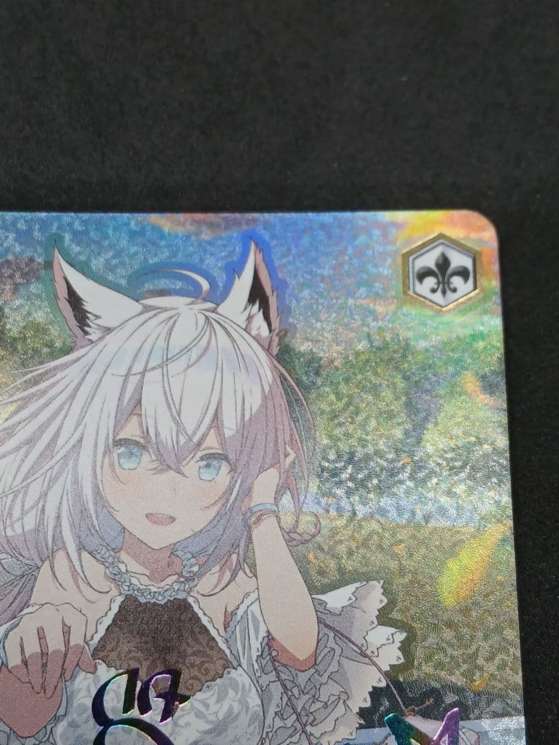 茜さす地でキミと　白上フブキ　SSP サイン　ホロライブ