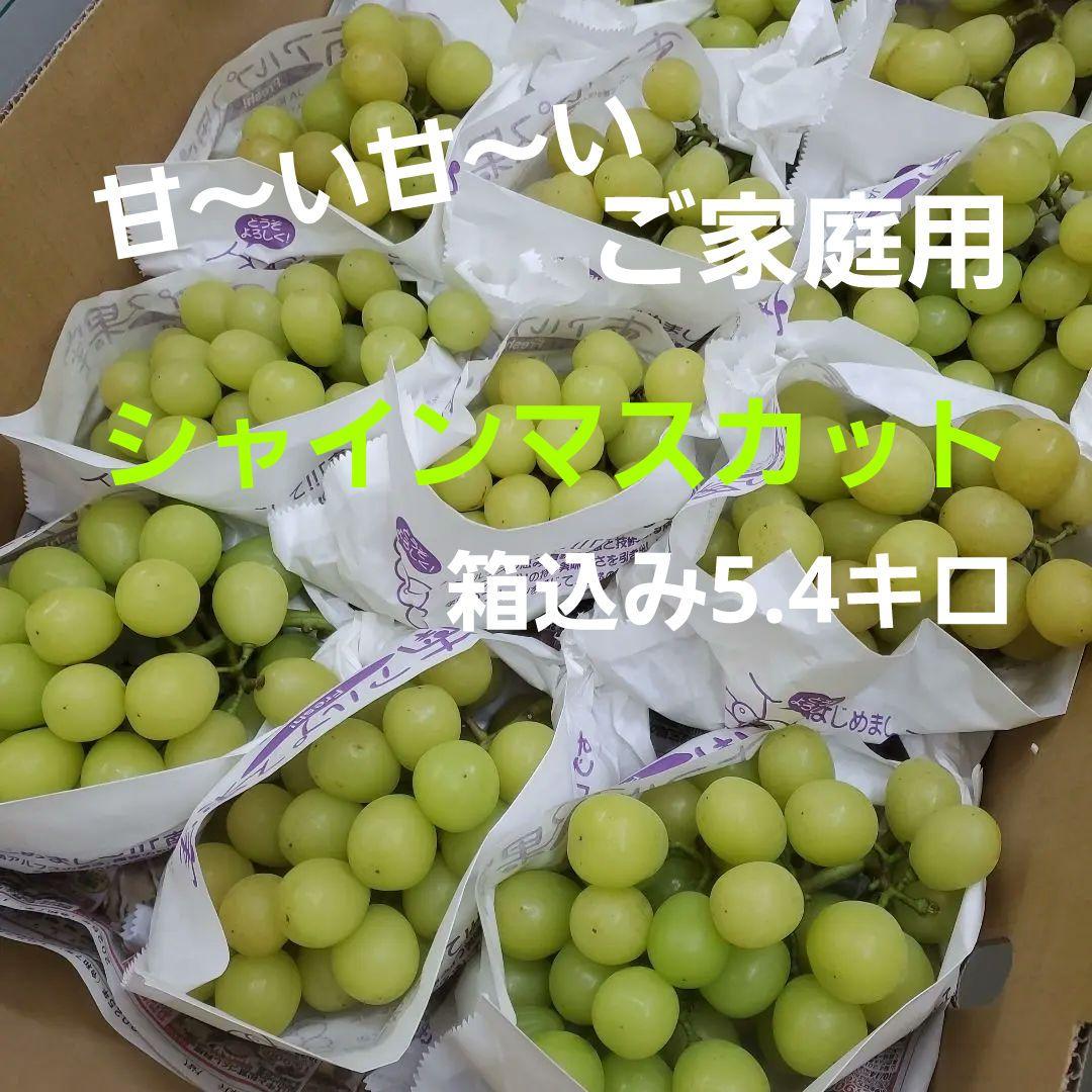9️⃣ 山梨県産 シャインマスカット １２房入り 箱込み5.4キロ