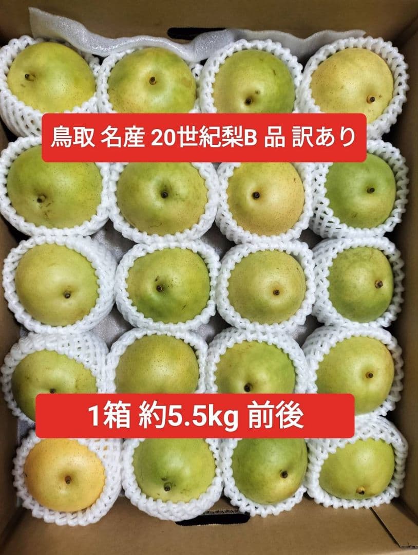 東京直送分。鳥取名産、20世紀梨、5キロ、✖️3、