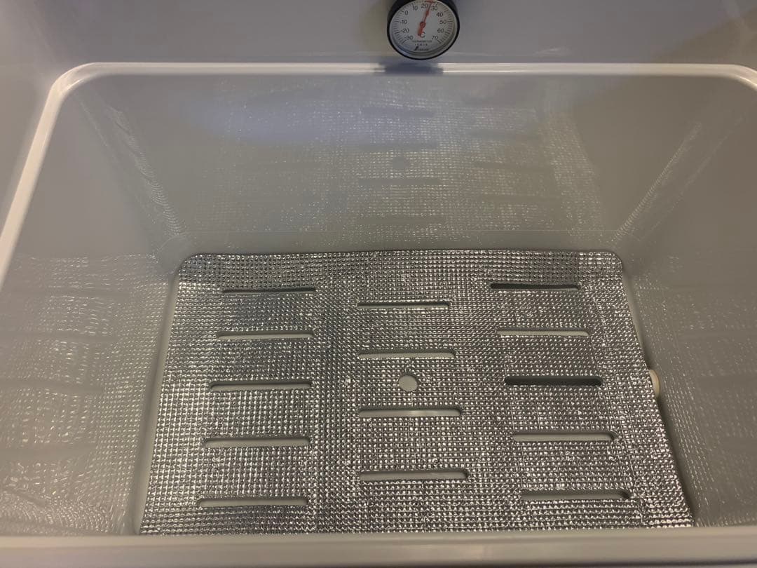 latu‼️美品✨Coleman コールマン　クーラーボックス