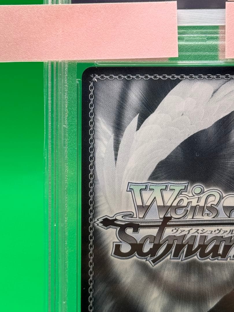 sakuta　君と過ごした一年間　桜島 麻衣