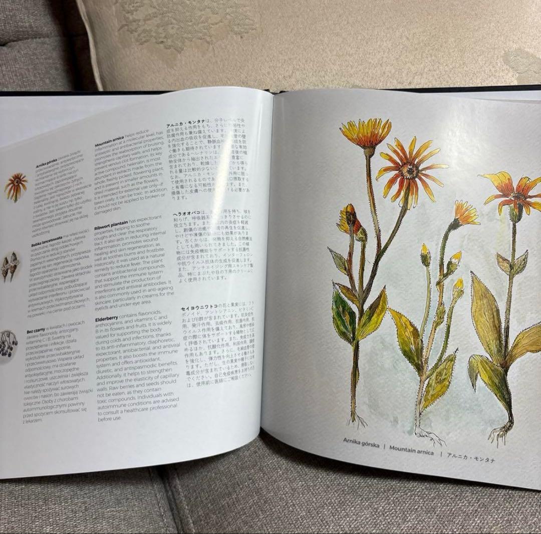 Expo 2025 大阪万博　ポーランド館　非売品