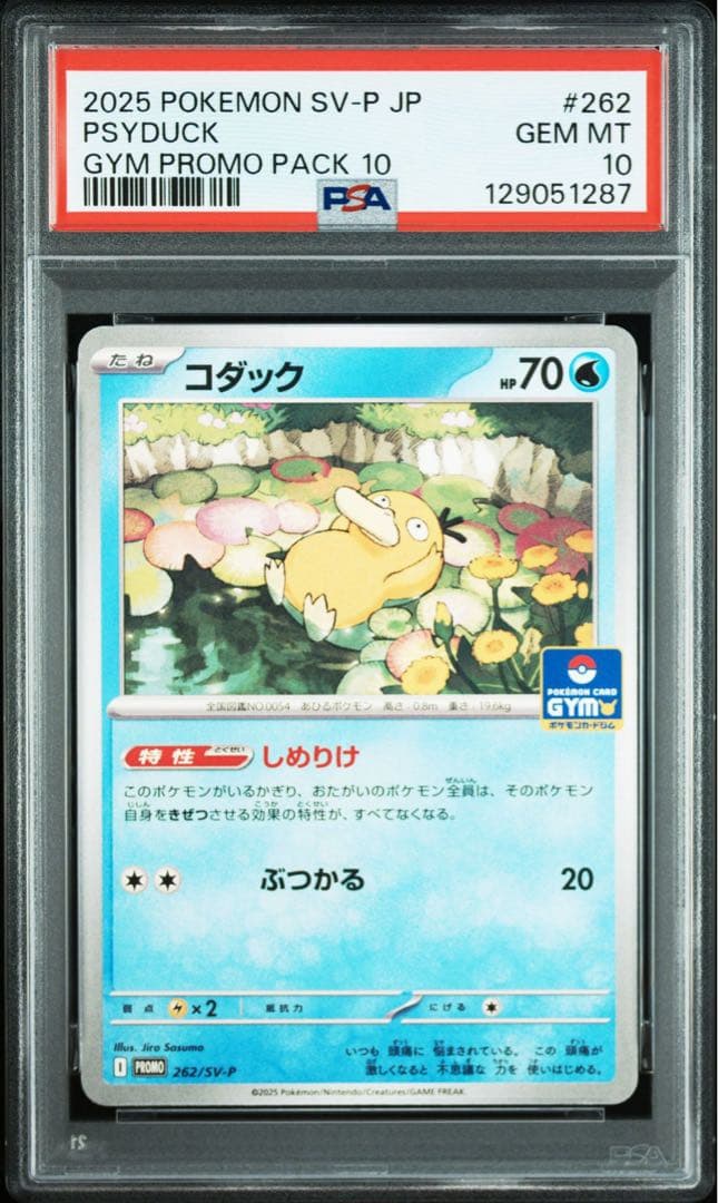 【PSA10】コダック　しめりけ　262/SV-P ジムプロモ　Psyduck