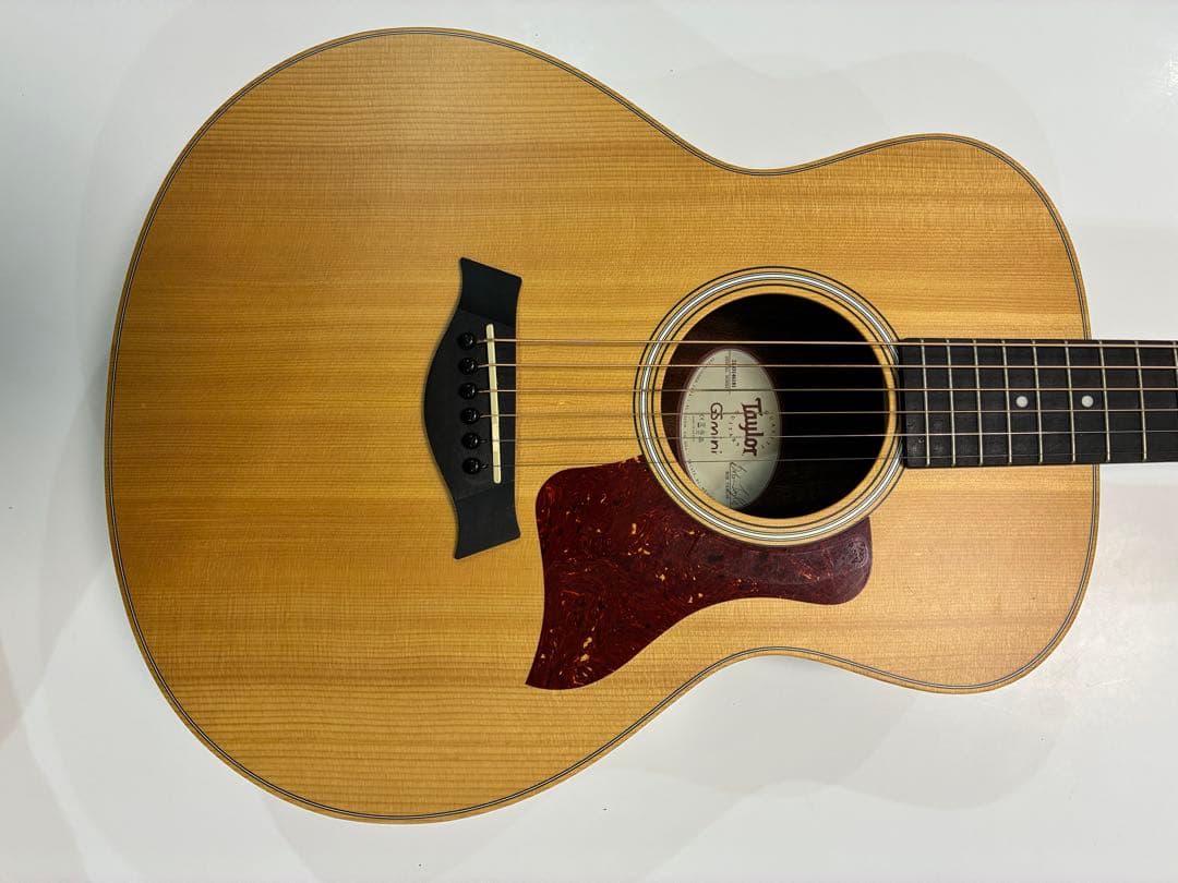 Taylor GS Mini アコースティックギター 専用ケース付
