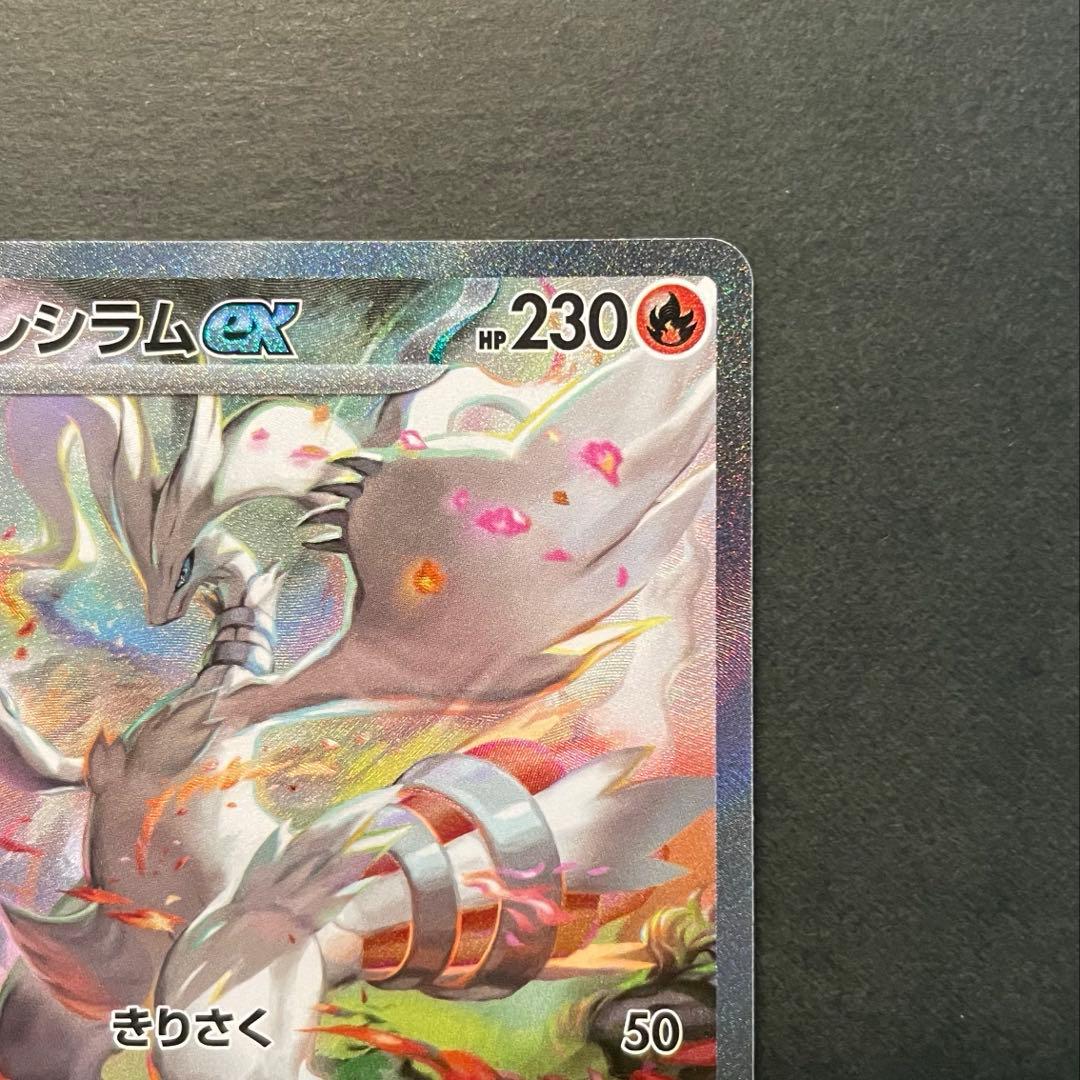 【極美品】レシラムexSAR ゼクロムexSAR ブラックボルト　ホワイトフレア