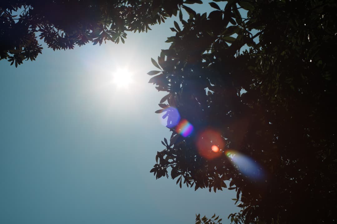 Olympus G.Zuiko auto 50mm F1.4 オリンパス 32