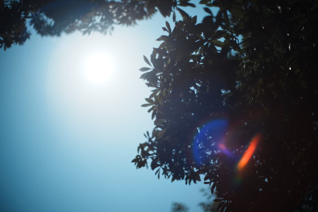 Olympus G.Zuiko auto 50mm F1.4 オリンパス 32