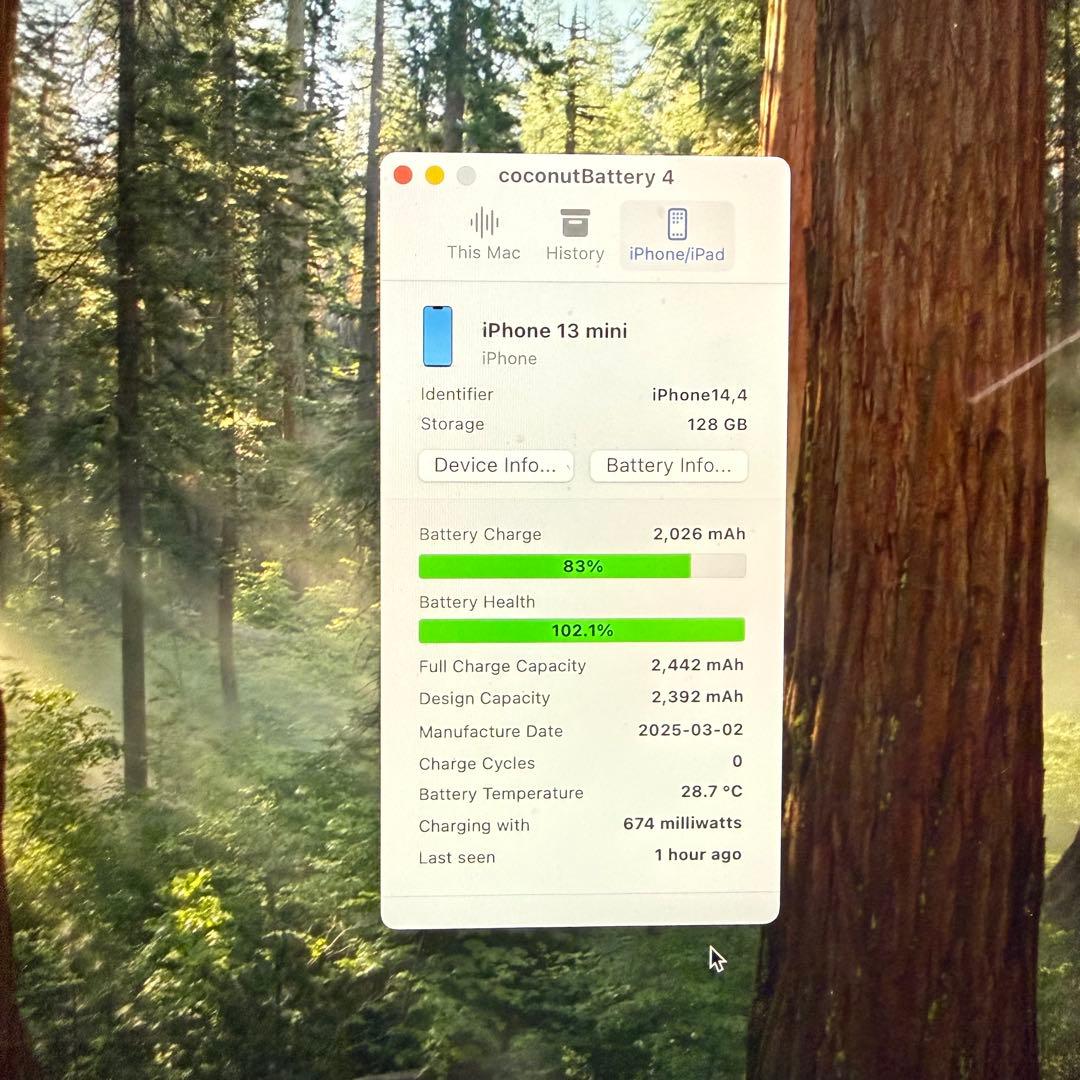 ★美品　iPhone13 mini 128GB SIMフリー バッテリー100%