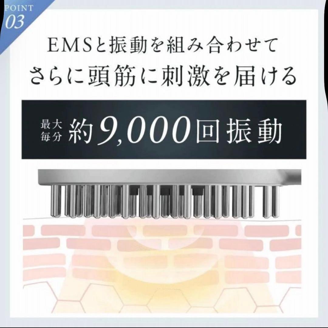 NIPLUX EMS LIFT BRUSH 美顔器　新品未使用