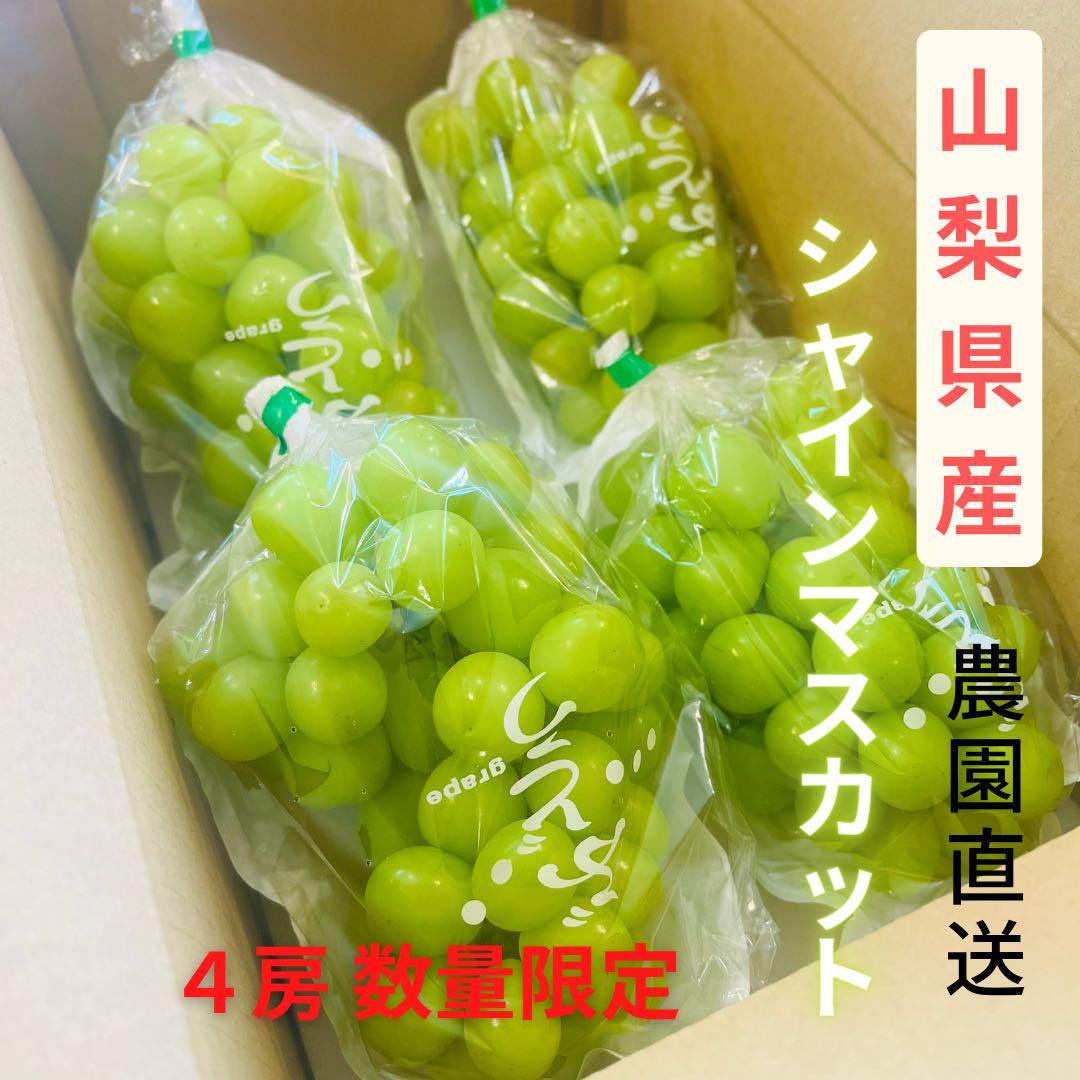 【大粒 秀品 1箱限定 シャインマスカット 4房】山梨県産シャインマスカット