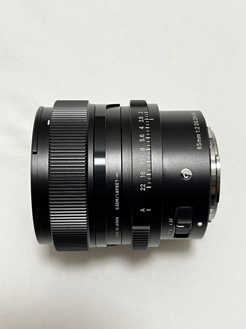 sigma 65mm f2 DG DN Sony Eマウント 作例有