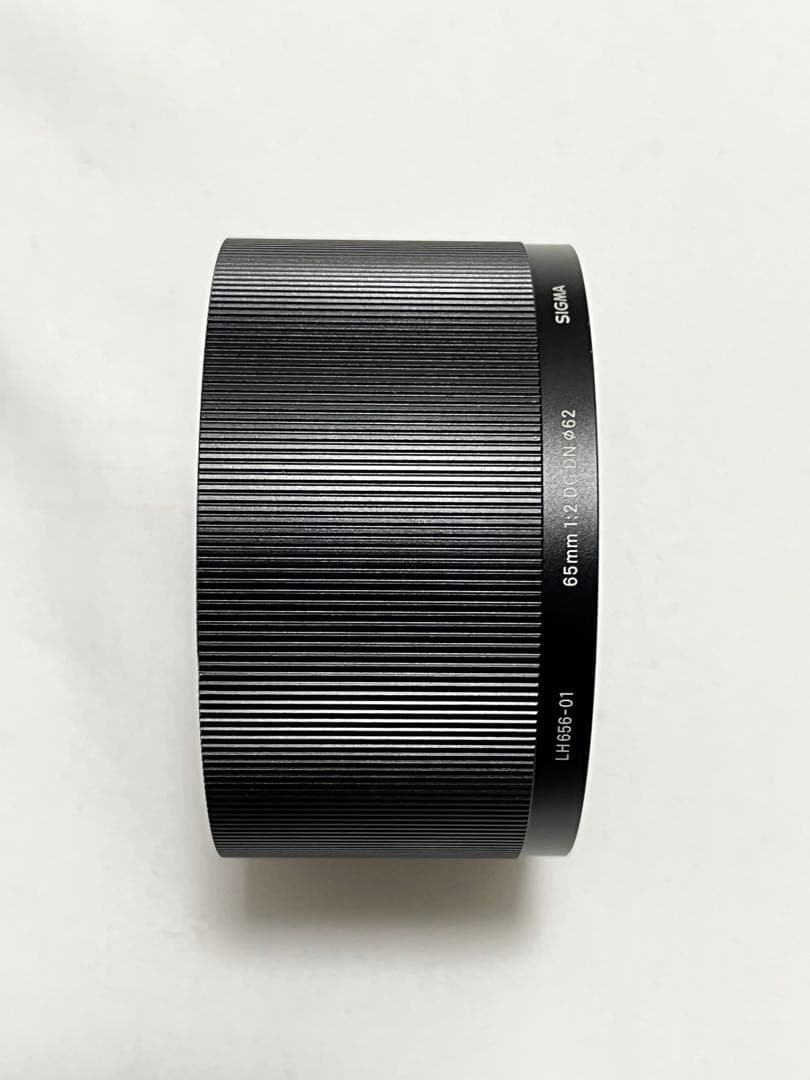 sigma 65mm f2 DG DN Sony Eマウント 作例有