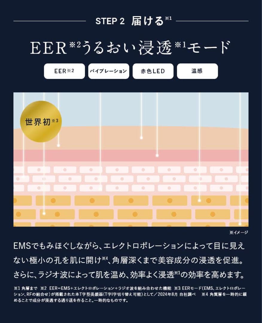 【新品・未使用・未開封】ディズム EMS EER メディスキンケアデバイス