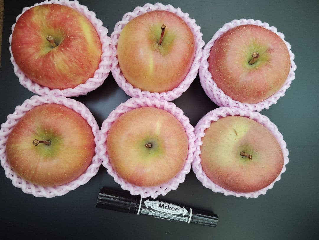 栽培中農薬不使用　高徳6玉　大玉贈答品　家庭用多種多様セットリンゴ9キロ