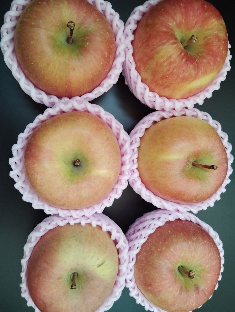 栽培中農薬不使用　高徳6玉　大玉贈答品　家庭用多種多様セットリンゴ9キロ