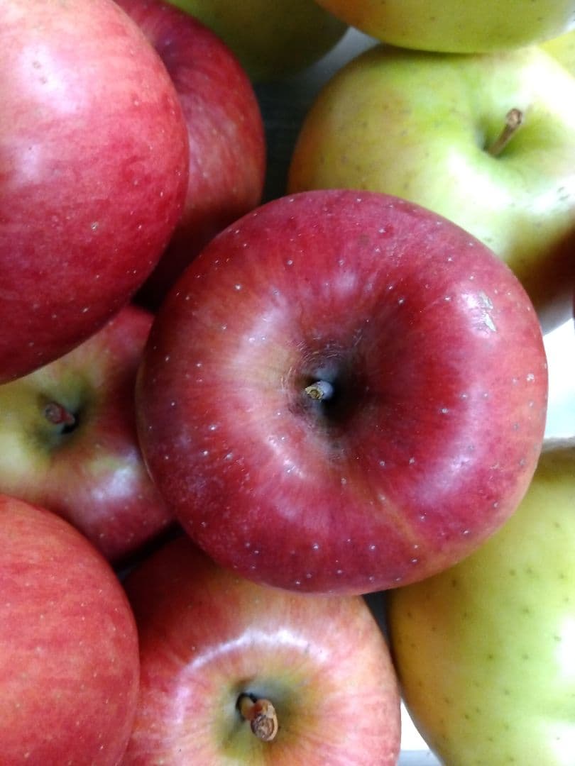 栽培中農薬不使用　高徳6玉　大玉贈答品　家庭用多種多様セットリンゴ9キロ