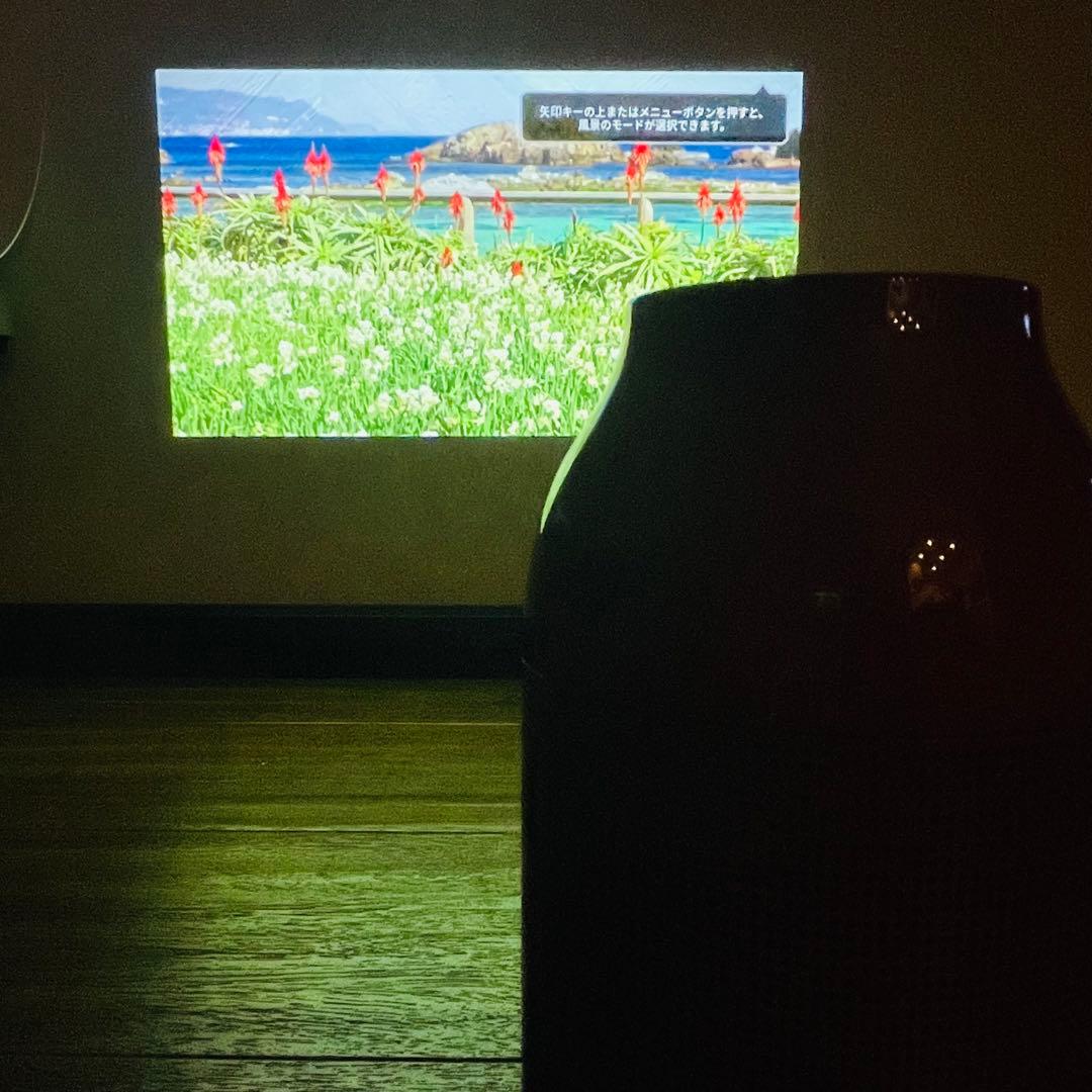 【美品】柴田文江デザイン 生産終了Aladdin Vase アラジンベース希少