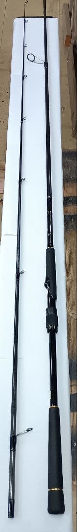 ダイワ　ラテオ100M