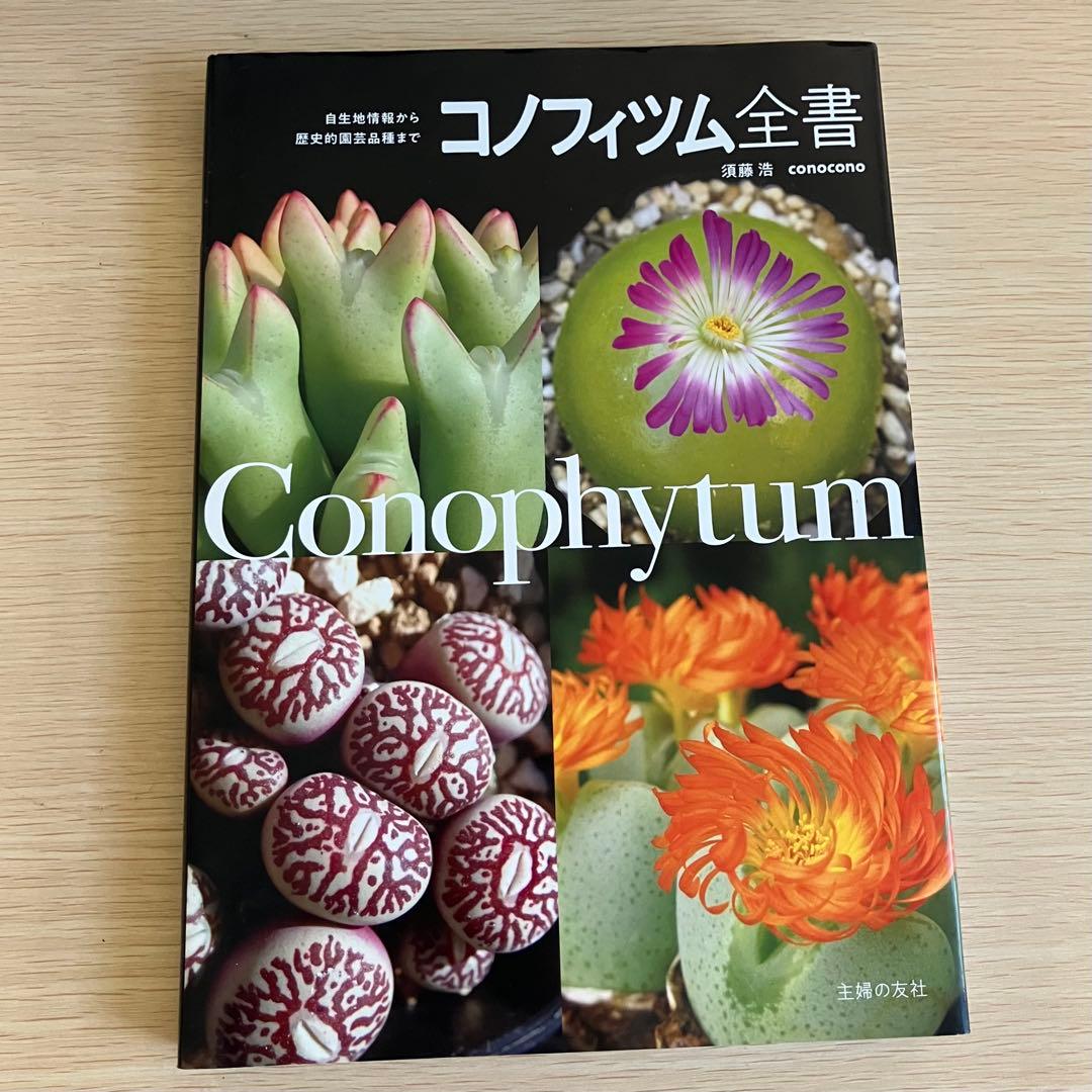 コノフィツム全書