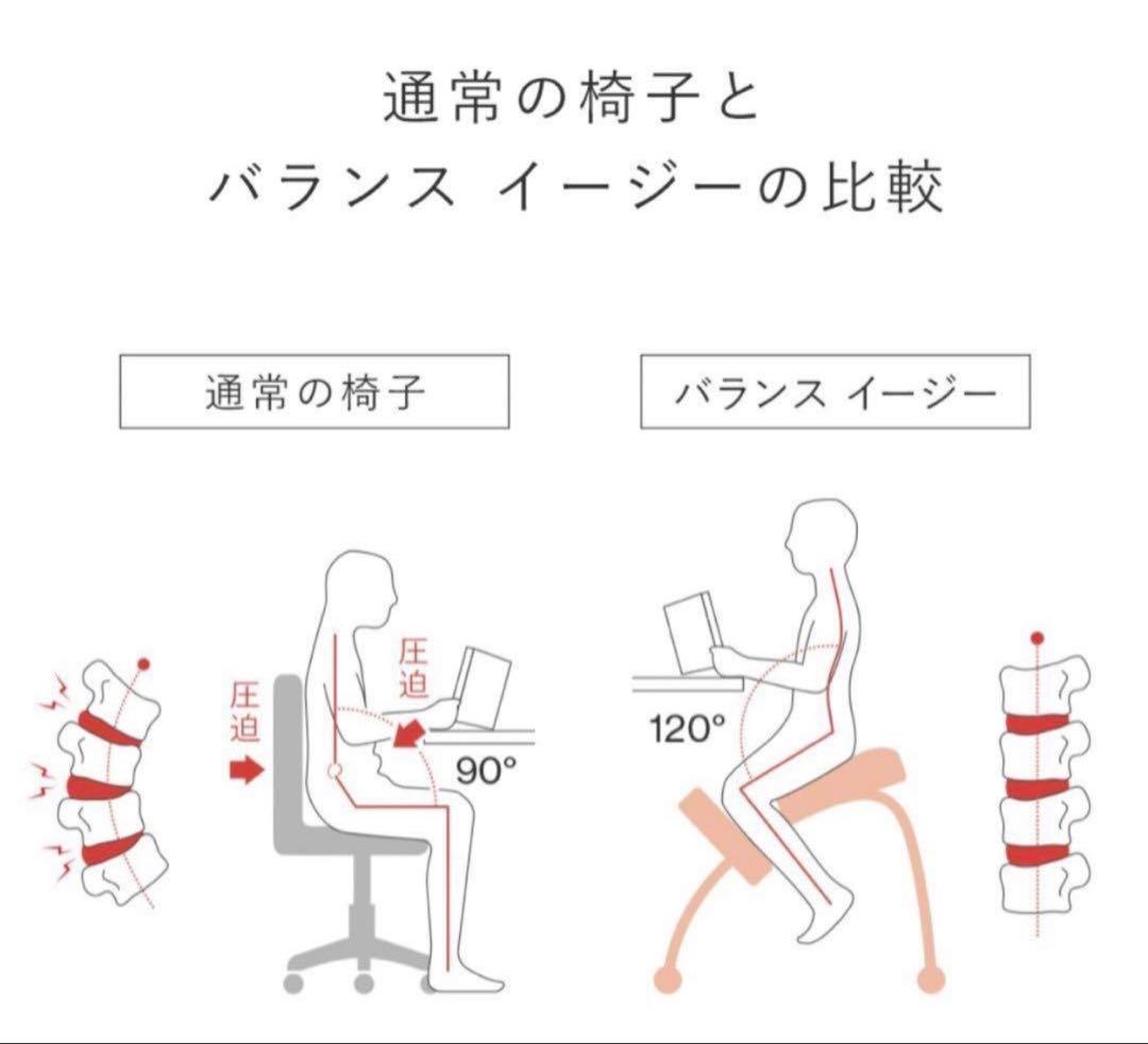 【美品】Rybo Balans EASY バランスチェア 金ロゴ カバー付